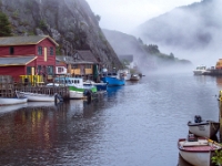 Quidi Vidi, Nowa Fundlandia